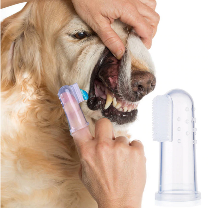 Dog and Cat Finger Toothbrush